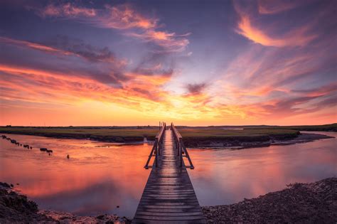 Sandwich boardwalk - Asad Jung. Cape Cod Times. The Sandwich Boardwalk can only truly be appreciated by taking a stroll on it. Planks are inscribed with hundreds of names along …